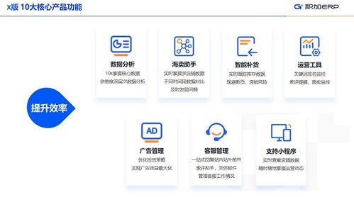 積加ERP 定制化解決方案，小賣家與中大賣家的差異化需求